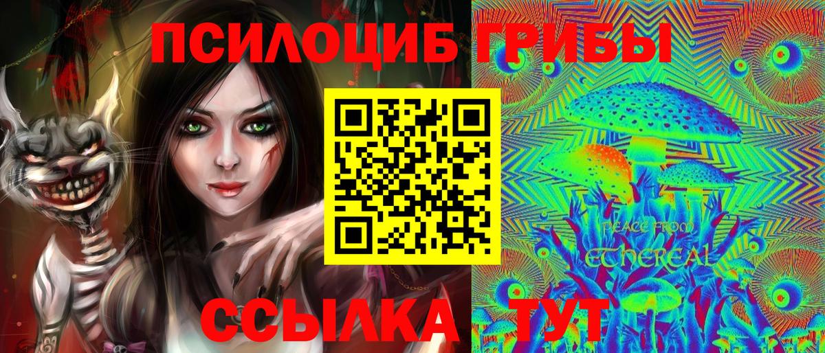 Псилоцибиновые грибы GOLDEN TEACHER Находка