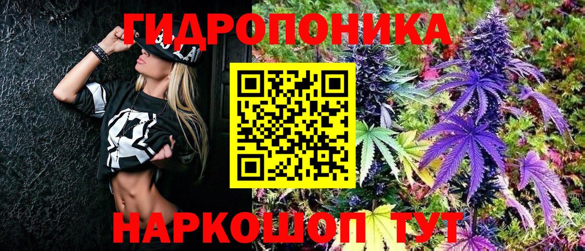 Бошки Шишки марихуана Находка
